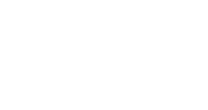 Mallard Storage logo